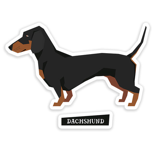 Dachshund dog Sticker