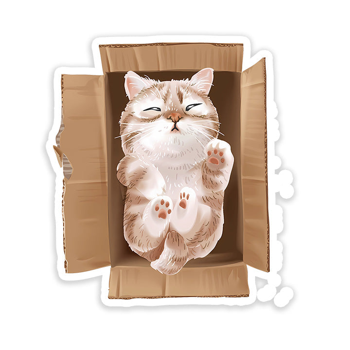 kitten in cardboard sticker