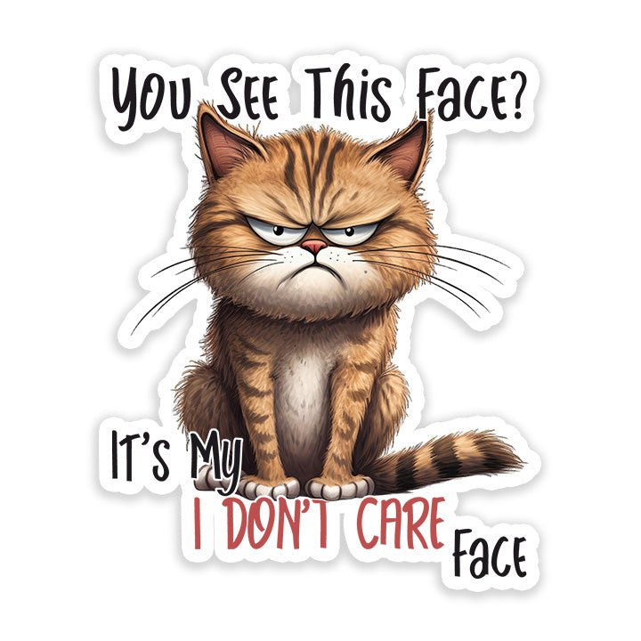 you see this face i don't care face Sticker